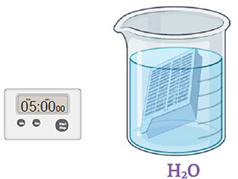 Cassette in a beaker containing water (H2O), timer, 5 minutes