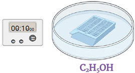 Cassette in a Petri dish containing ethanol (C2H5OH) , timer, 10 seconds
