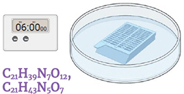 assette in a Petri dish containing antibiotics (C21H39N7O12 , C21H43N5O7), timer, 6 minutes