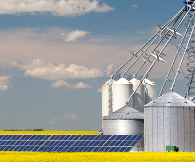 A canola field with its yellow flowers on a sunny day, in which there are 5 grain silos and a row of solar panels