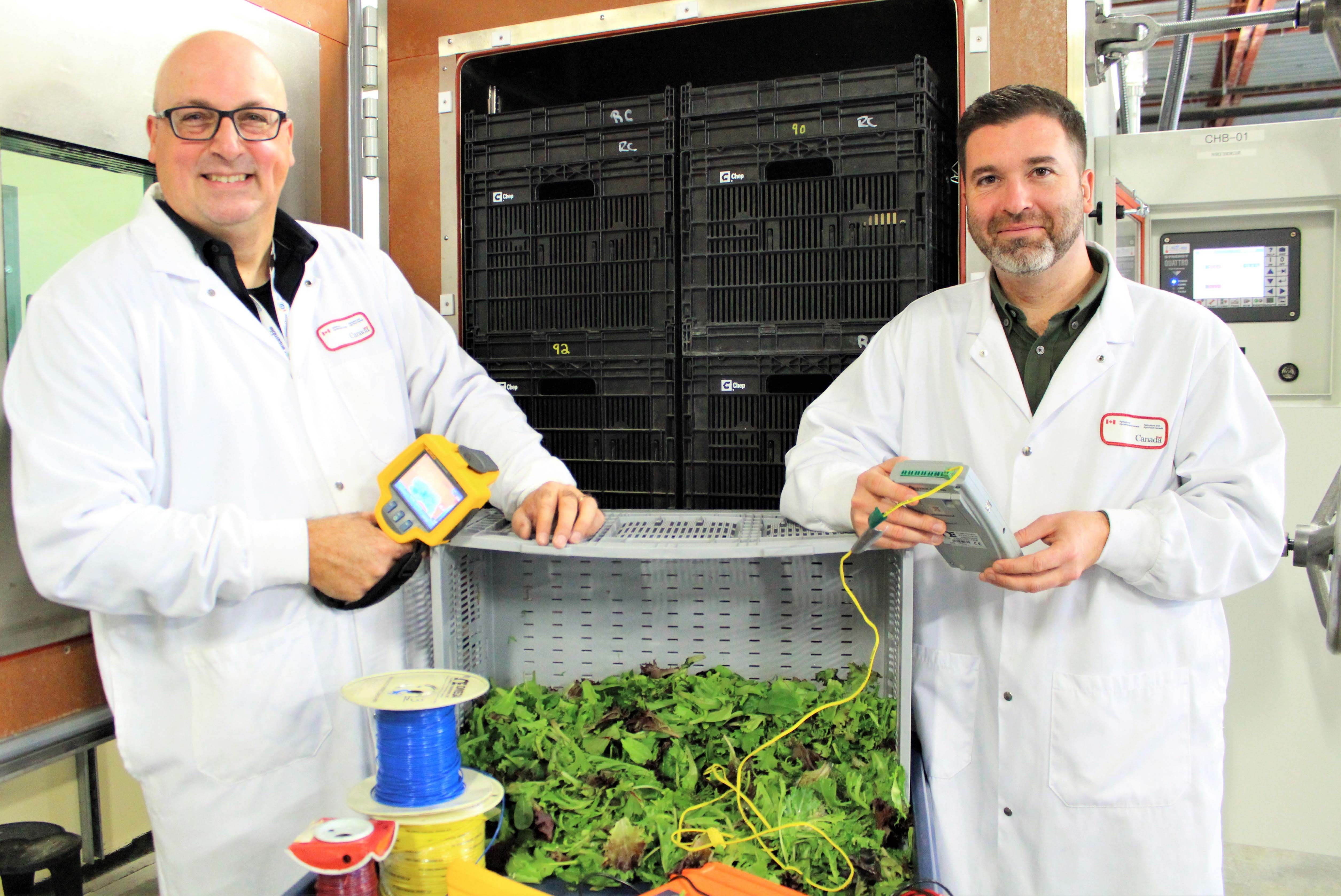 Researchers Sébastien Villeneuve (left) and Louis Sasseville (right) are holding measurement tools to assess the state of conservation of lettuce in a transport conditions trial. A crate full of green lettuce is between the two researchers. 