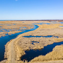 A Lake Erie watershed