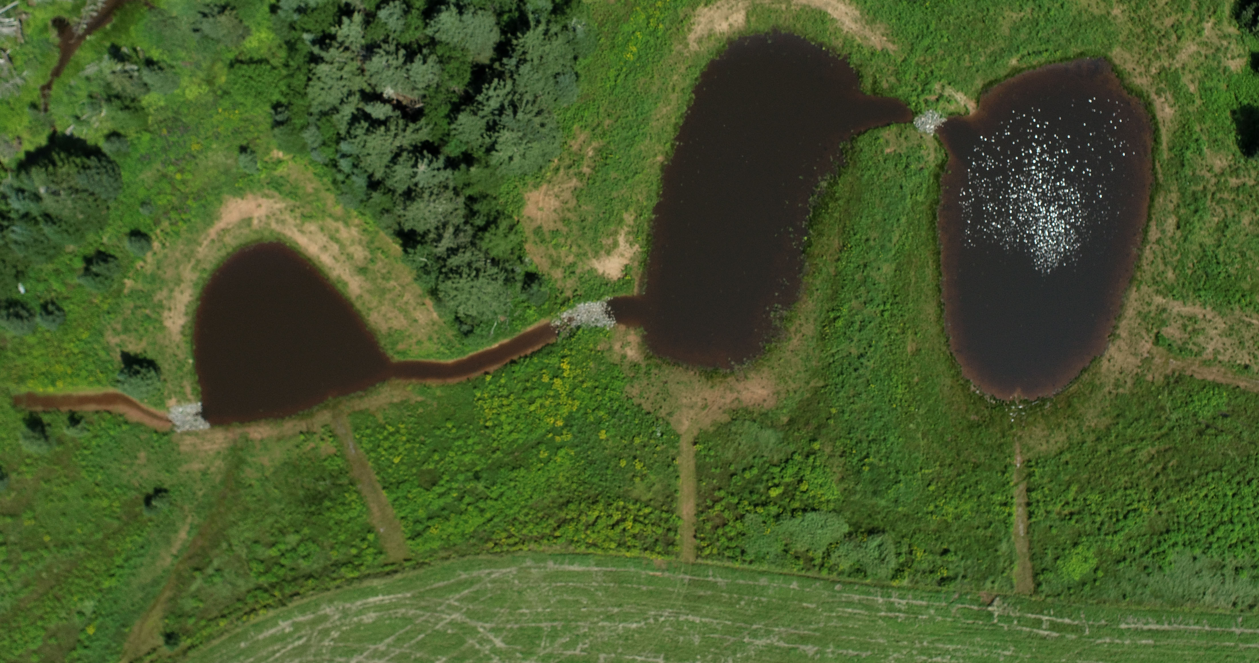 Vue en plongée par drone de trois marais artificiels entourés de végétation et de terres agricoles.