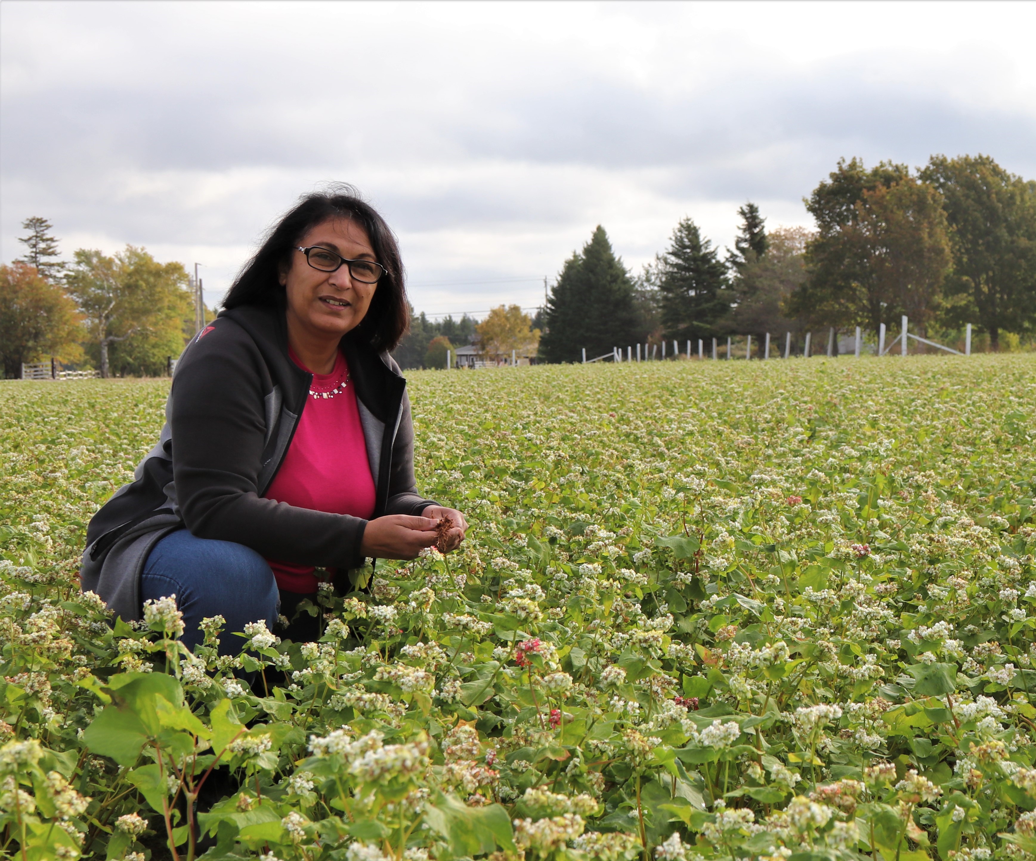 Photo 1: A scientist kneeling and smiling in an outdoor field of buckwheat crops.