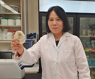 Dr. Fengqun Yu holds a petri dish containing a blackleg strain growing on medium