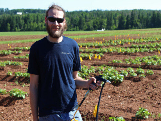 A scientist standing in a field of potato plants holding the nozzle of a sandblaster