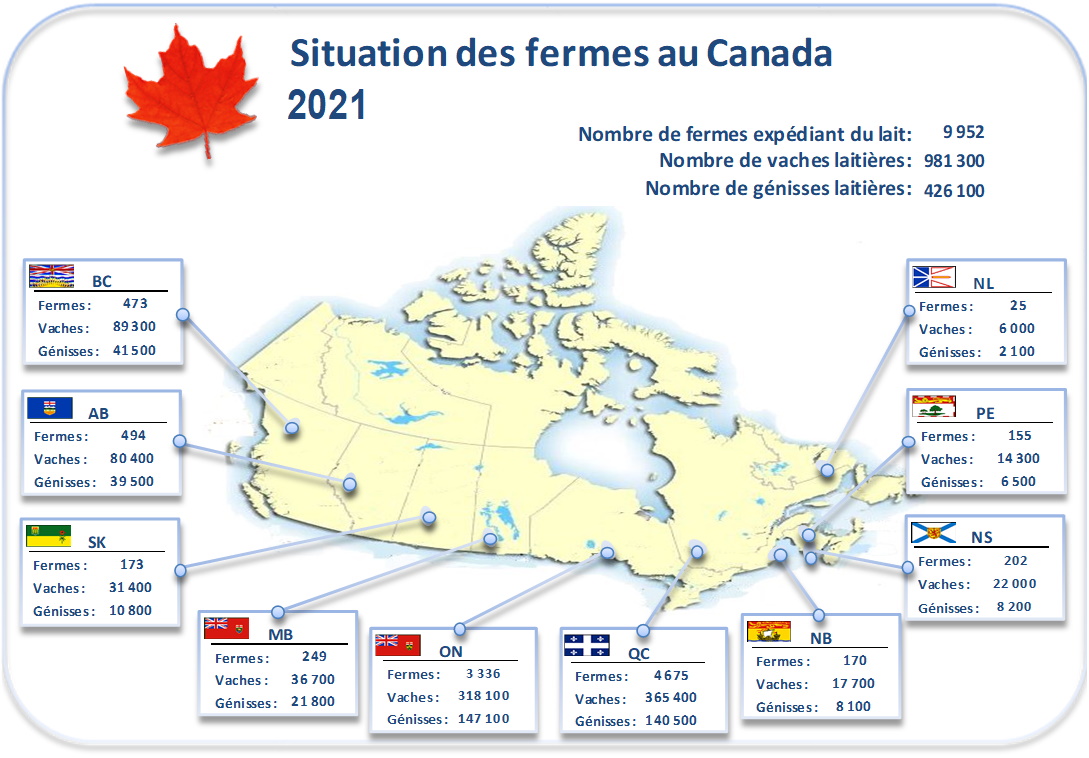 image: Carte du Canada avec nombre de fermes et vache laitière tel que décrit dans le tableau ci-dessous