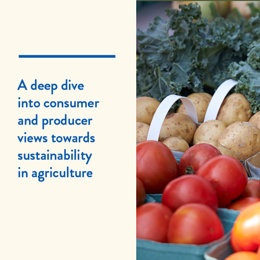 tomatoes, potatoes, lettuce in baskets: A deep dive into consumer and producer views towards sustainability in agriculutre