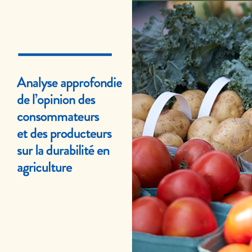 tomates, pommes de terre, laitue en panier : Analyse approfondie de l'opionion des consommateurs et des producteurs sur la durabilité en agriculture