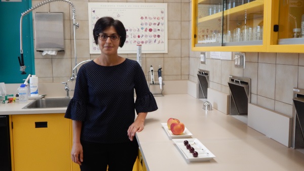 A scientist standing beside a tray of apple and cherry samples prepped for sensory evaluation testing.
