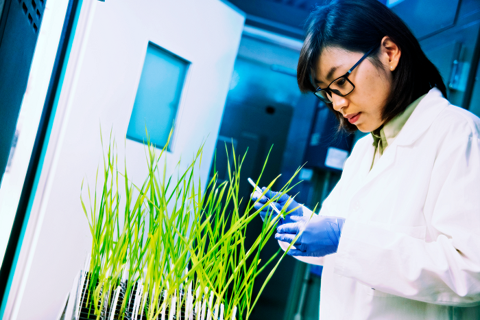 Female researcher studying plant growth in a lab