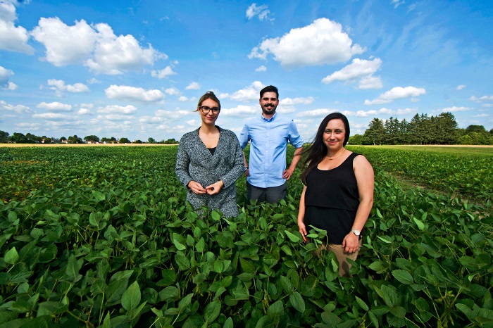 Three young researchers standing in a lush green farm field