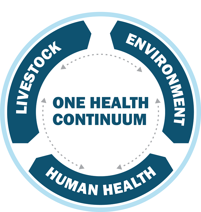 Graphic illustrating One Health Continuum integrated approach