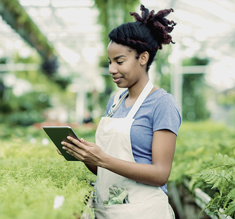 A woman in a greenhouse checking a tablet.
