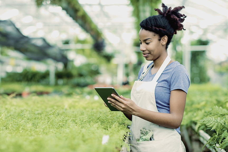 A woman in a greenhouse checking a tablet.