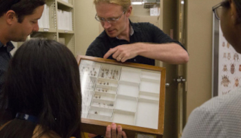 A man holds up and points to a framed, glass display of bug samples to show three visitors.