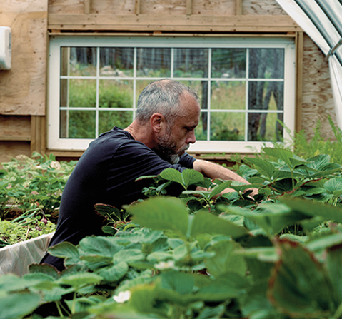 Ben Wiper tending to plants in a greenhouse.