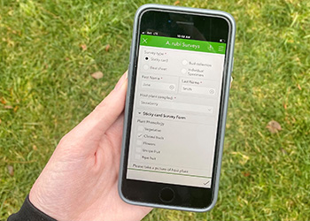 A hand holds a smartphone displaying the pest survey app. The fields displayed include: survey type, first name, last name, host plant sampled, and sticky card survey form.