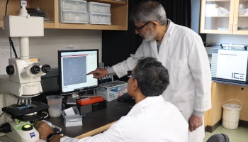 Dr. Muhammad Anzar and his research assistant look at wood bison semen on a computer screen. Dr. Anzar stands, pointing at the screen while his research assistant is seated adjusting the image