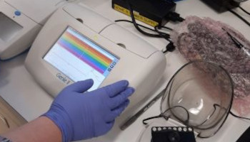 A lab technician's gloved hand operates a field-deployable instrument that can be used to detect the presence of disease-causing bacteria in animal-derived samples