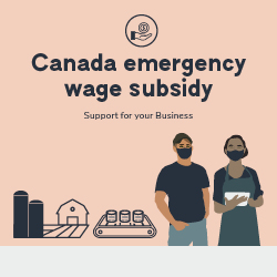 Canada emergency wage subsidy. Support for your Business