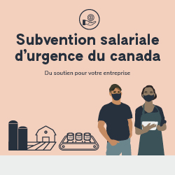 Subvention salariale d’urgence du Canada. Du soutien pour votre entreprise.