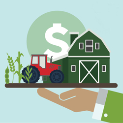 Illustrated farm with dollar sign on a plater