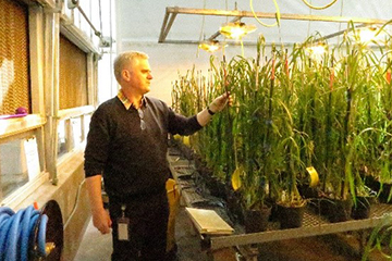 Dr. Axel Diederichsen in one of PGRC’s greenhouses.