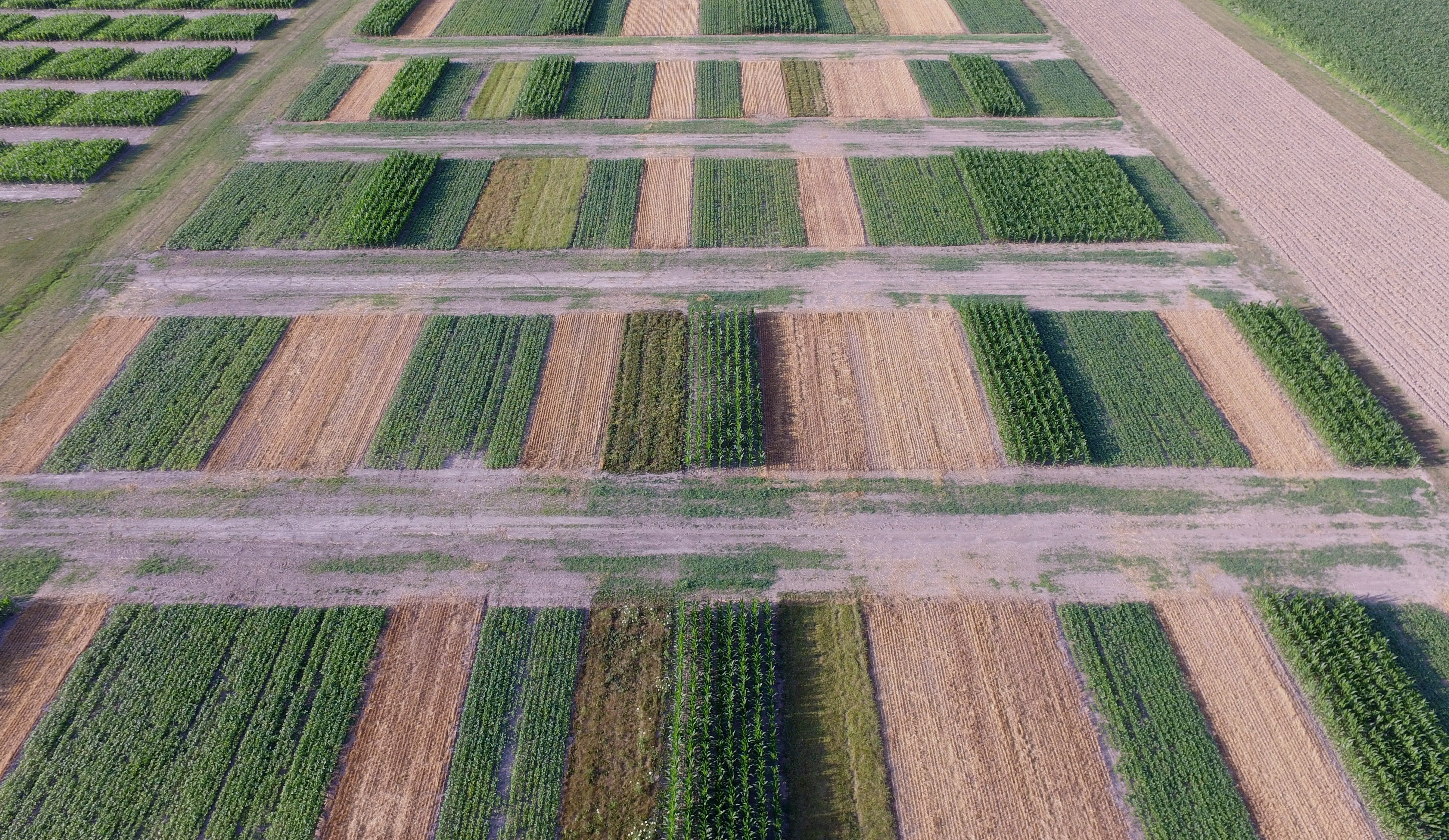 View from above of fields with different crops in rotation.