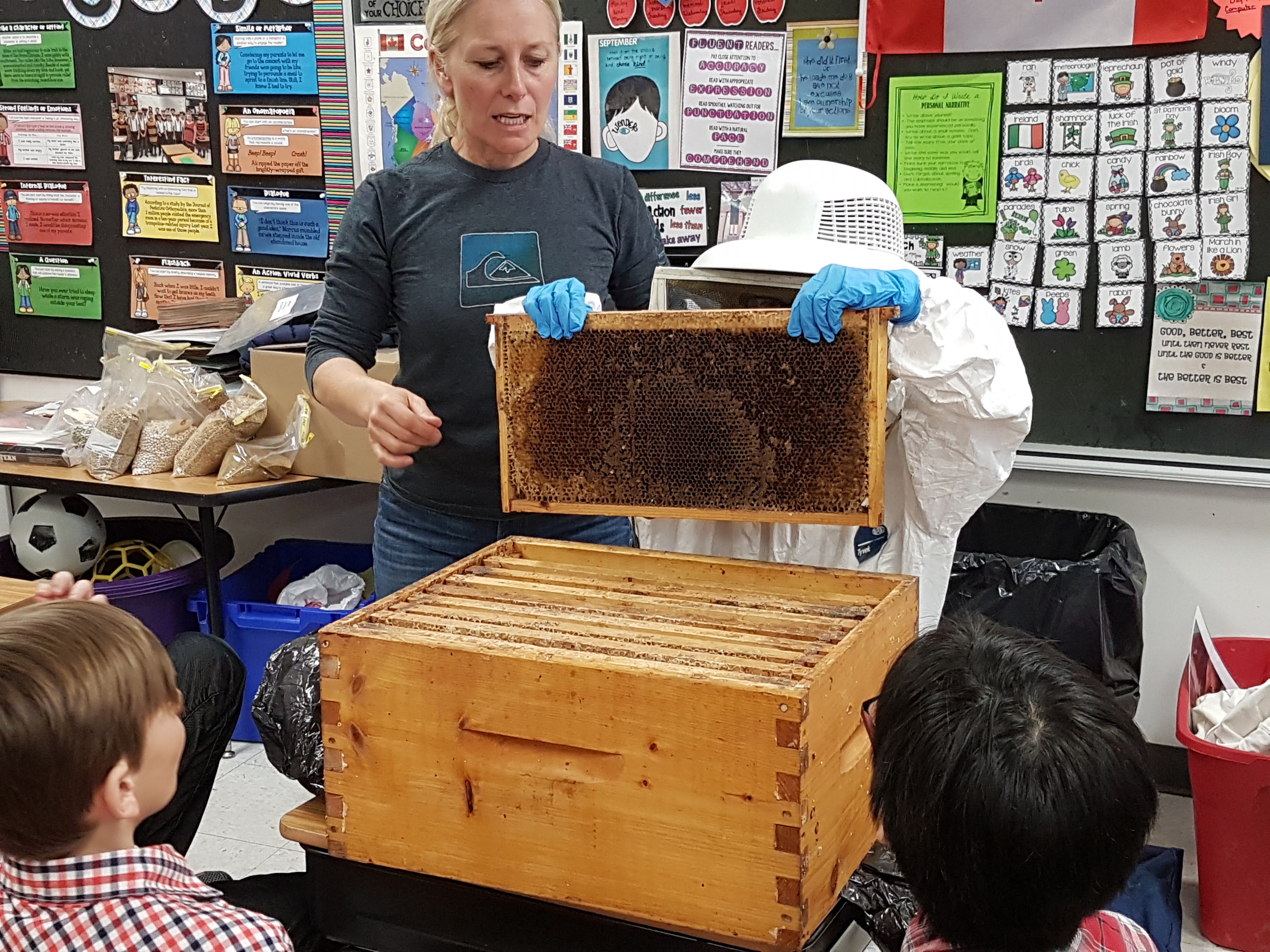 Dressed in a beekeeper suit, a student pulls dividers from a bee hive.