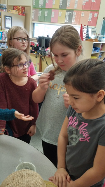 Students examining beekeeping objects.