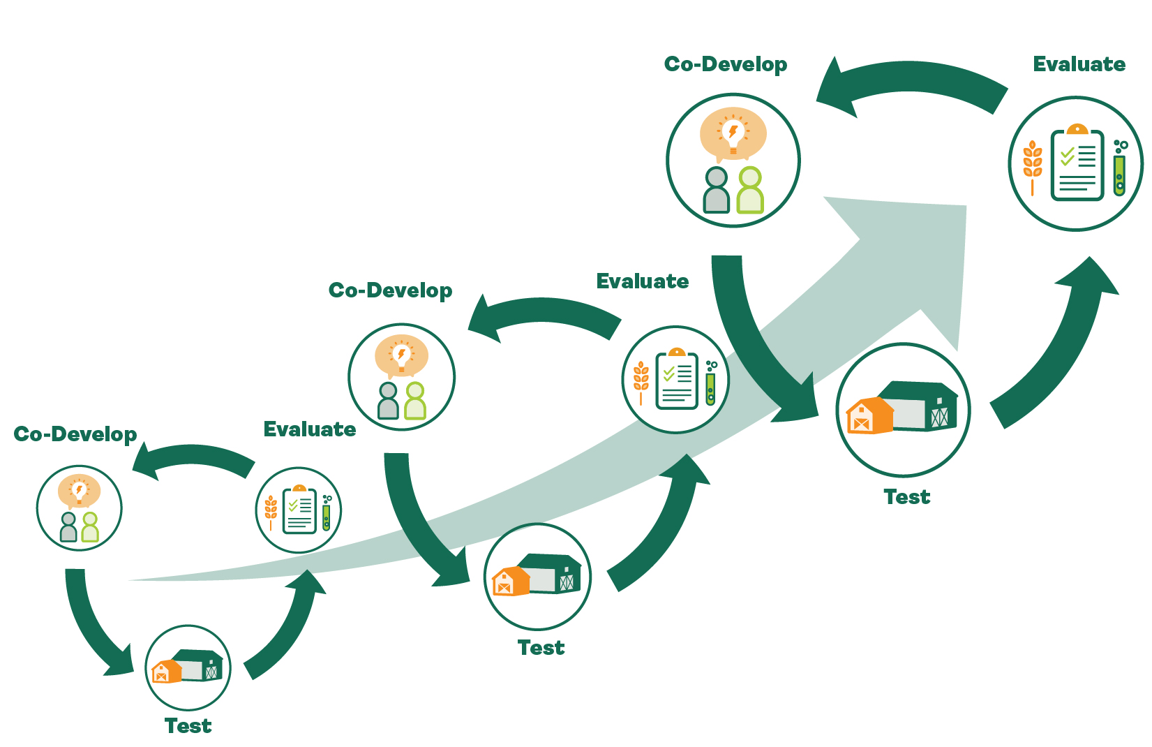 Innovation cycle