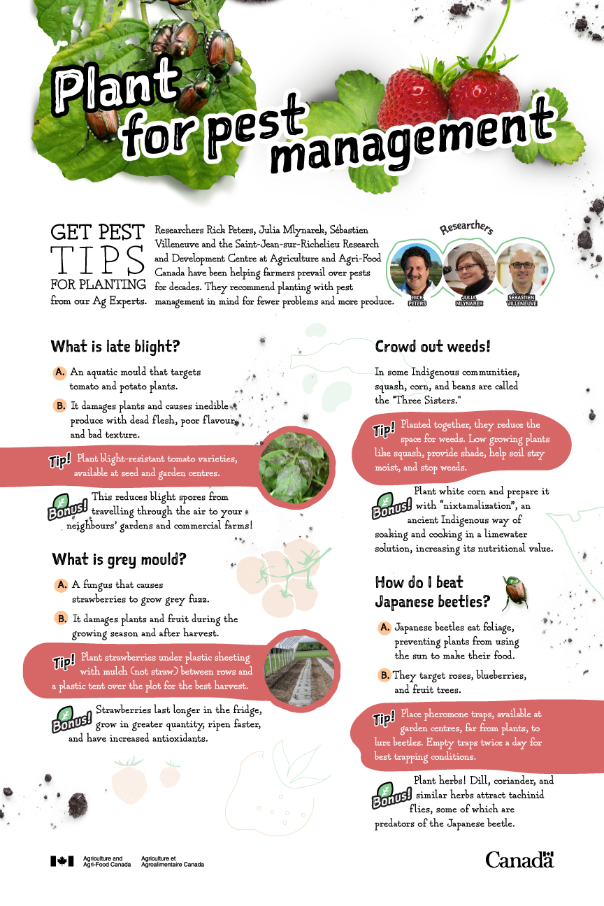 Plant for pest management- infographic