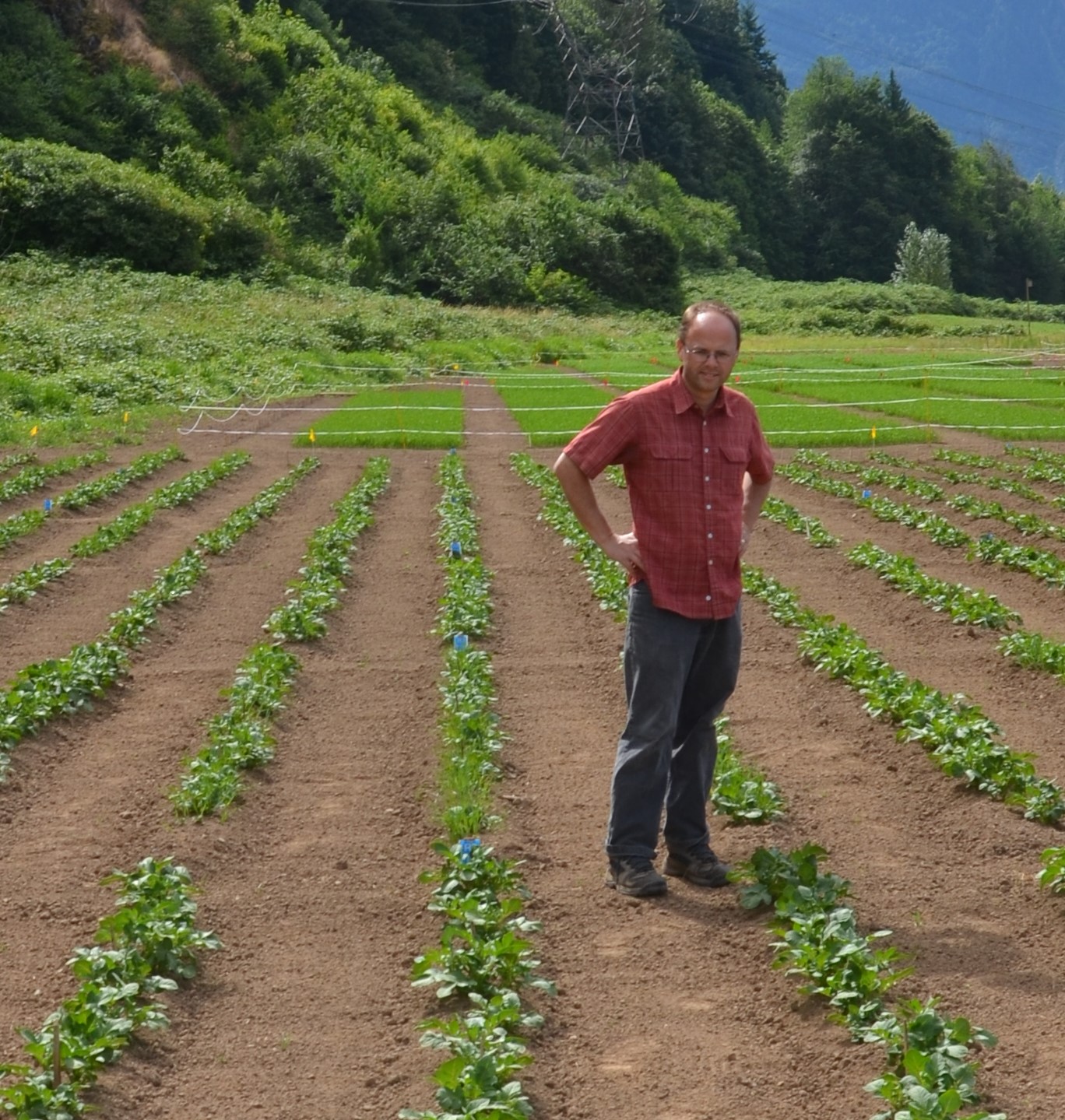 A scientist stands in a field of crops with mountains behind them