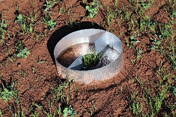 A cylindrical aluminum pan collecting water and soil particles in a field.