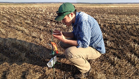 Boyd Mori. Ph. D., dans un champ de canola près de Saskatoon.