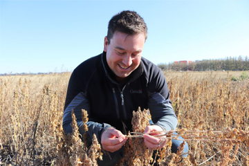 Un homme accroupi dans un champ examine un plant.