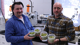 Des chercheurs montrant des contenants de houblon sauvage en laboratoire.