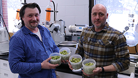Researchers holding containers of wild hops in laboratory.