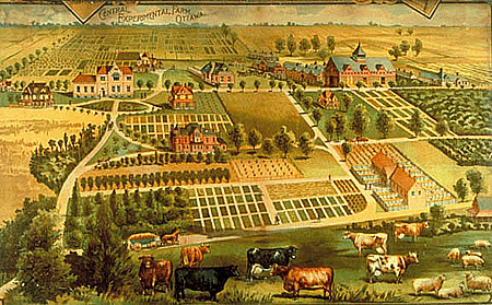Promotional Image of the Central Experimental Farm (CEF), 1890
