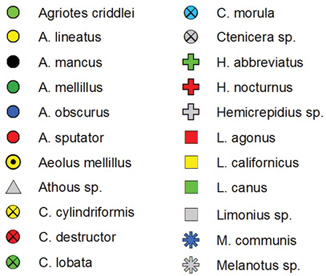 (Légende) Répartition des espèces de taupins au Canada. La description de l'image suit.