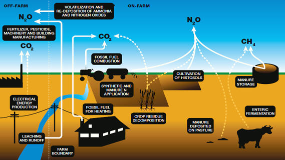 Greenhouse gases and agriculture 