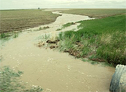 Pipe discharging sediment-laden water onto a field