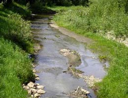 un ruisseau qui coule dans une forêt