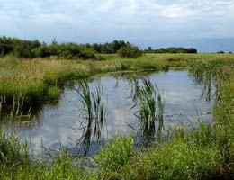 une mare ou un petit plan d'eau dans une région de prairie