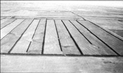 Cette photo aérienne montre comment des bandes ont été aménagées à la verticale à l'avant-plan et à l'horizontale à l'arrière-plan pour lutter contre l'érosion par le vent.