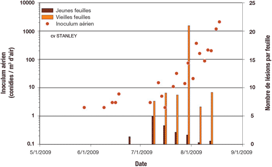 Il y a une corrélation positive entre l'inoculum aérien et le nombre de lésions par feuille vieilles de l'oignon.