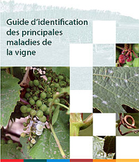 Page couverture de la publication – Guide d’identification des principales maladies de la vigne