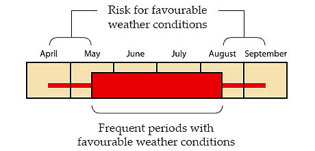 Risk for favourable weather conditions vs. Frequent periods with favourable weather conditions