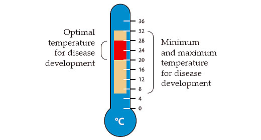 Optimal temperature for disease development vs. Minimum and maximum temperature for disease development